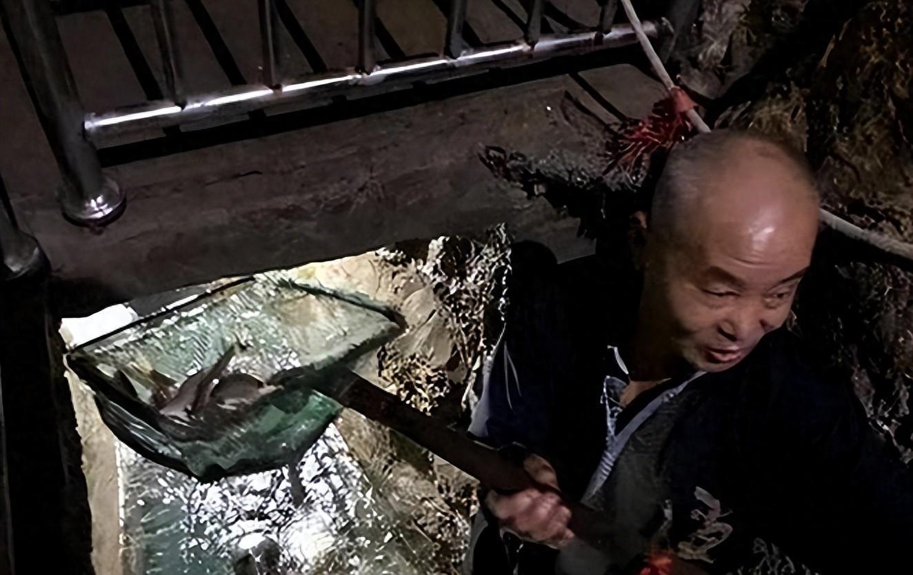 致富经重庆流水养鱼_重庆流水鱼养殖_致富经活水养鱼