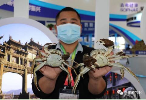 退伍老人养殖致富模式_退伍军人养殖扶贫政策_农村退伍军人创业养殖