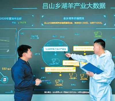 湖羊养殖技术cctv7_湖羊养殖前景_湖羊养殖技术培训视频