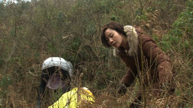 四川博士种天麻 致富经_天麻种植骗局_四川天麻产地在哪里
