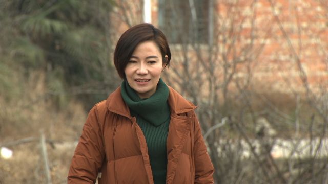 天麻种植骗局_四川博士种天麻 致富经_四川天麻产地在哪里