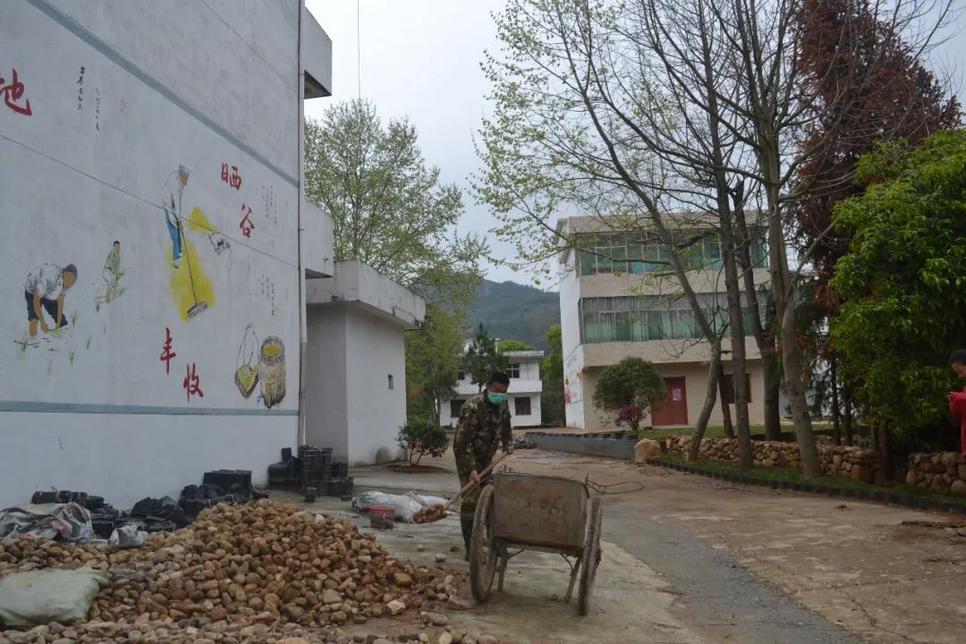 贫困户种植致富路_贫困户种植脱贫_致富贫困户种植路径有哪些