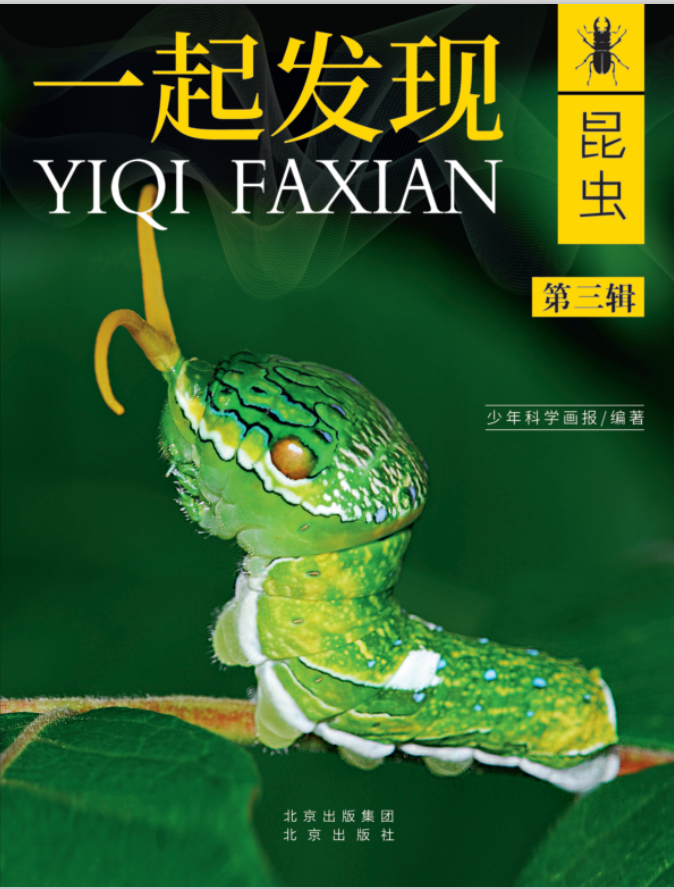 人工养殖螳螂视频_养殖螳螂的视频_螳螂养殖技术视频很多