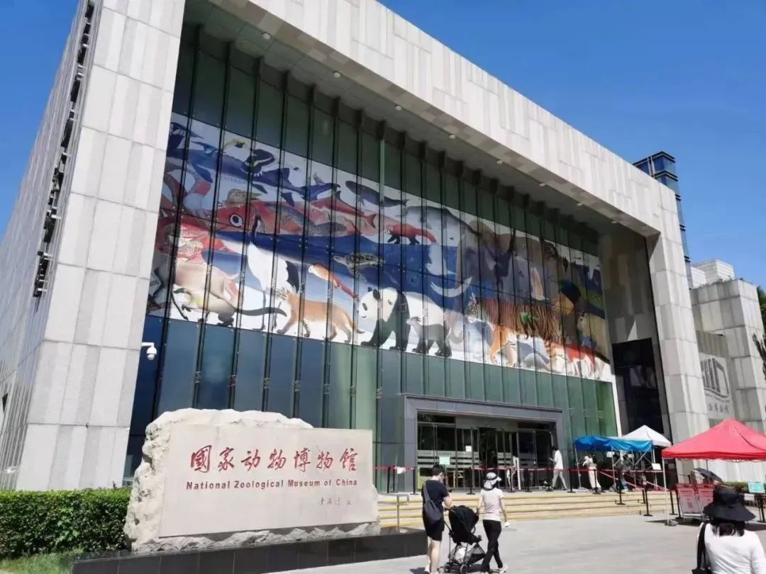 螳螂养殖技术视频很多_人工养殖螳螂视频_养殖螳螂的视频