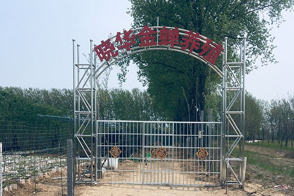 金蝉技术养殖_养殖金蝉技术要求_养殖金蝉技术要点
