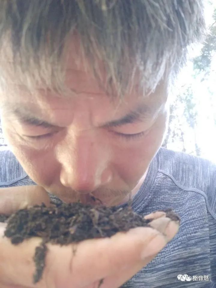 螳螂养殖技术视频很多_养殖螳螂一年能赚多少_养殖螳螂有什么用处