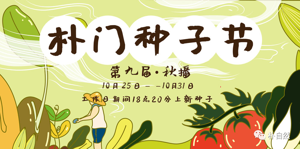 螳螂养殖技术视频很多_养殖螳螂一年能赚多少_养殖螳螂有什么用处