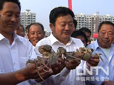 [致富经]2只螃蟹拍卖19.8万元的背后(20111121)