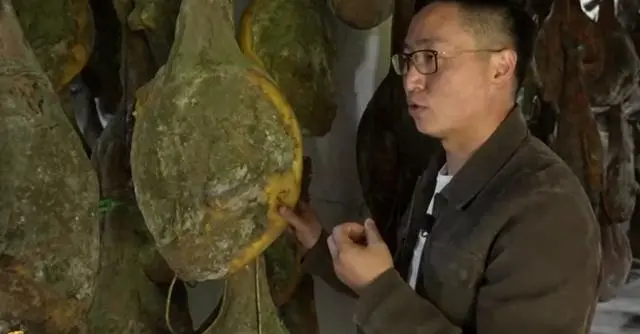 致富经香猪养殖视频_致富经野猪_致富经野香猪