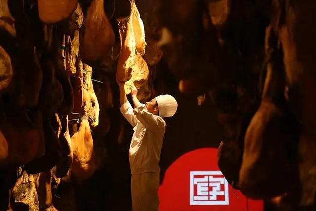 致富经香猪养殖视频_致富经野猪_致富经野香猪