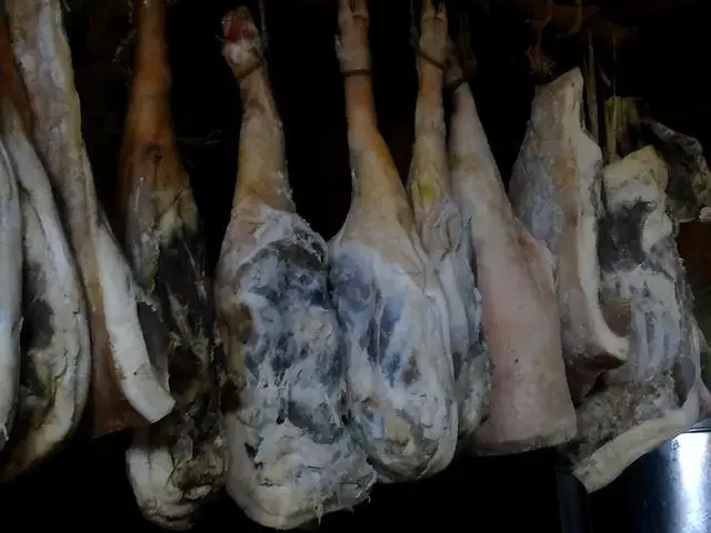 致富经野猪_致富经香猪养殖视频_致富经野香猪