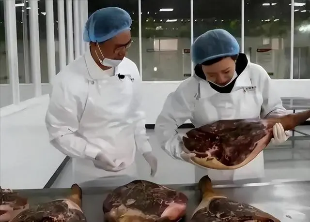 致富经野香猪_致富经香猪养殖视频_致富经野猪