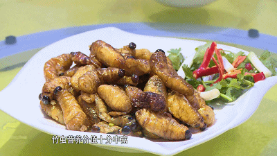 竹虫子养殖致富_养殖竹虫有销路吗_致富虫子养殖竹子视频