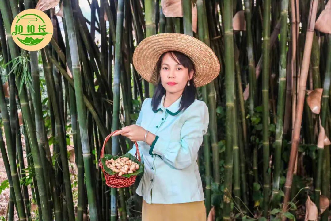 竹虫子养殖致富_养殖竹虫有销路吗_致富虫子养殖竹子视频