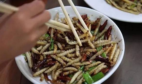 景宁农村随处可见的虫子身价暴涨！竟然卖到3000块一斤！有人要发财！