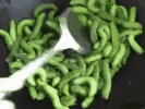 竹虫子养殖致富_养殖竹虫有销路吗_致富虫子养殖竹子视频
