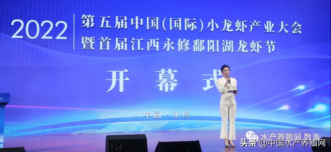龙虾养殖技术讲座_论坛龙虾养殖技术小报_小龙虾养殖技术论坛