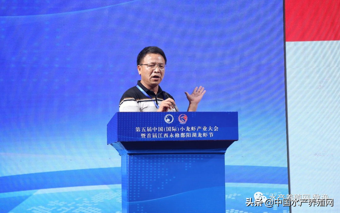小龙虾养殖技术论坛_龙虾养殖技术讲座_论坛龙虾养殖技术小报