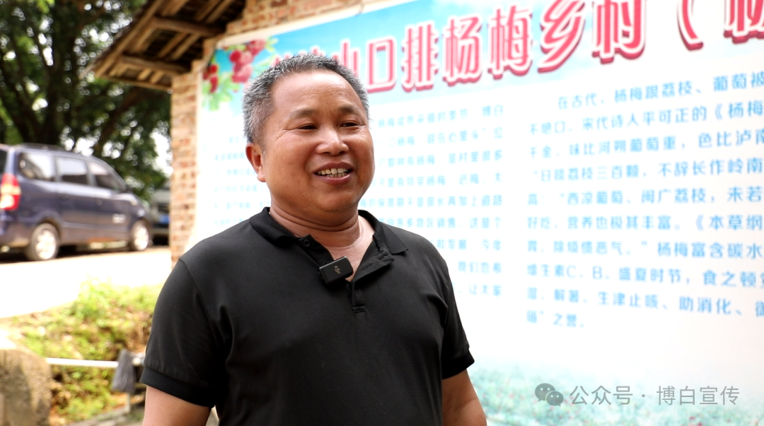 种植杨梅致富_种植杨梅赚钱吗_致富种植杨梅图片