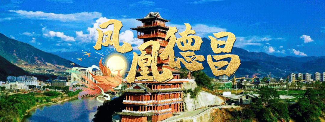 【乡村振兴】李蒙：80后残疾小伙返乡种杨梅 引领群众致富奔康