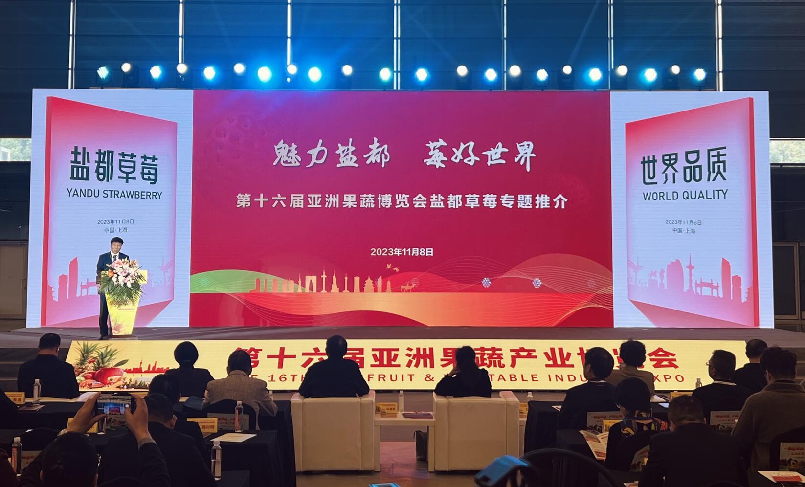 盐都：致富草莓“链”，串起“甜蜜产业”