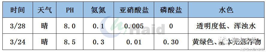 致富养殖鱼塘技术方案_致富经鱼塘养殖技术_致富养殖鱼塘技术要求