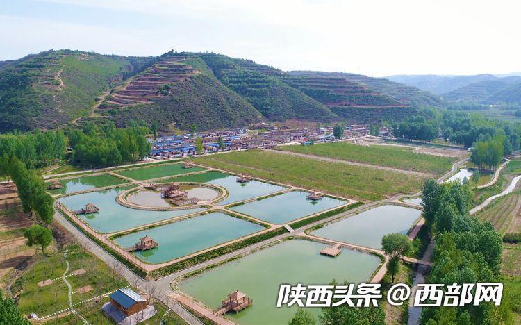 陕西种植苹果致富_陕西种苹果吗_陕西种苹果的优势