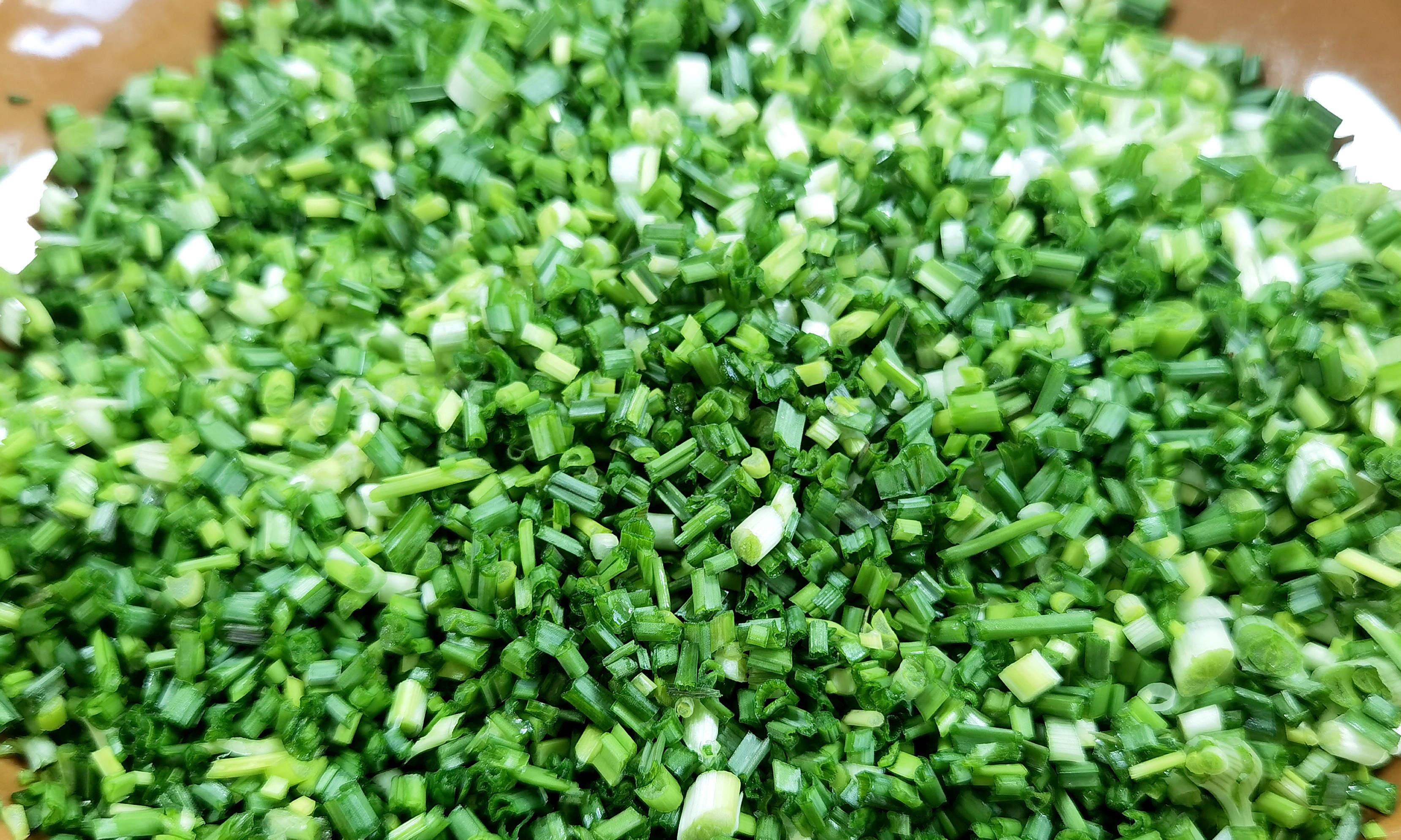 沙葱的种植技术_沙葱栽培技术要点_沙葱种植管理技术