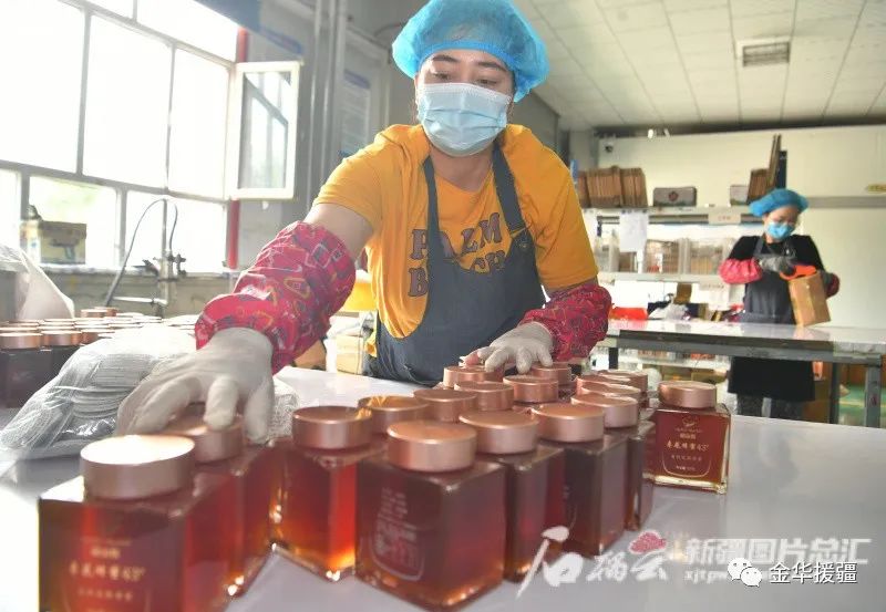 石榴籽月季种植技术视频_月季石榴籽怎么种植技术_石榴籽月季种植技术要点