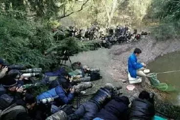 养殖鱼塘赚钱吗_鱼塘养殖业什么最赚钱农村_致富经鱼塘养殖技术