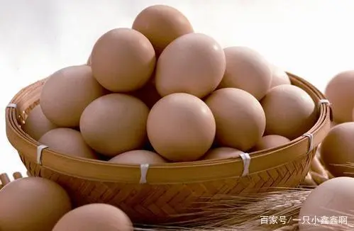 致富经贵妃鸡养殖_养贵妃鸡赚钱吗_贵妃鸡养殖致富经