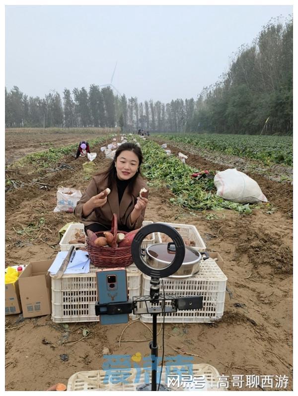 红薯种植致富_致富红薯种植方法_种红薯致富经