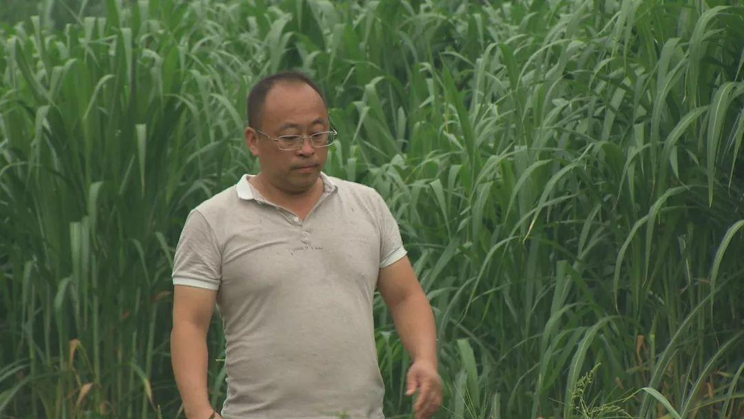北漂17年后，他选择回到大山里，打造出一个年销1200万的产业