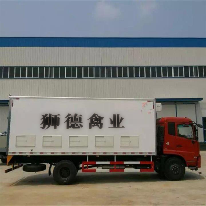 黔西南半番鸭苗批发市场地址百色土鸡苗哪里有卖