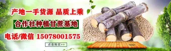 陕西农民种植致富_陕西农村种植什么赚钱不愁销路_陕西致富项目