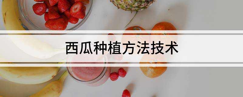 西瓜种植方法技术