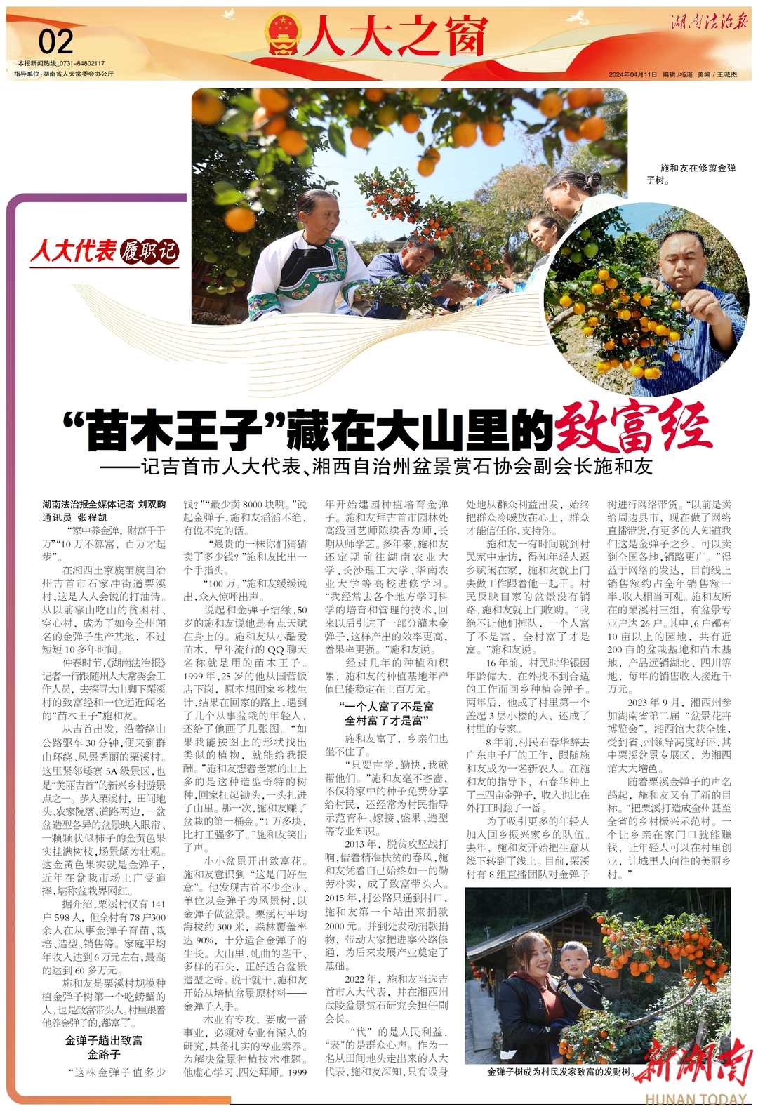 人大代表履职记|“苗木王子”藏在大山里的致富经 ——记吉首市人大代表、湘西自治州盆景赏石协会副会长施和友