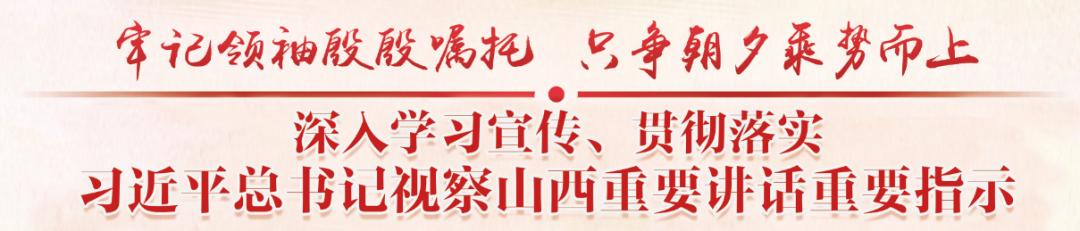 走向我们的小康生活丨陶村镇张良村：红薯地里蹚出致富路