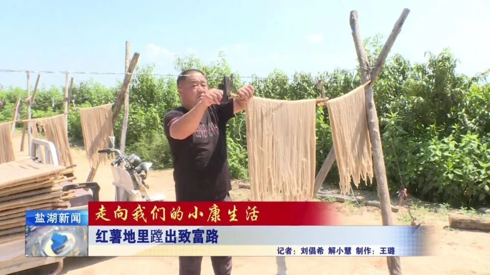 致富红薯种植技术视频_红薯种植致富_种红薯致富经