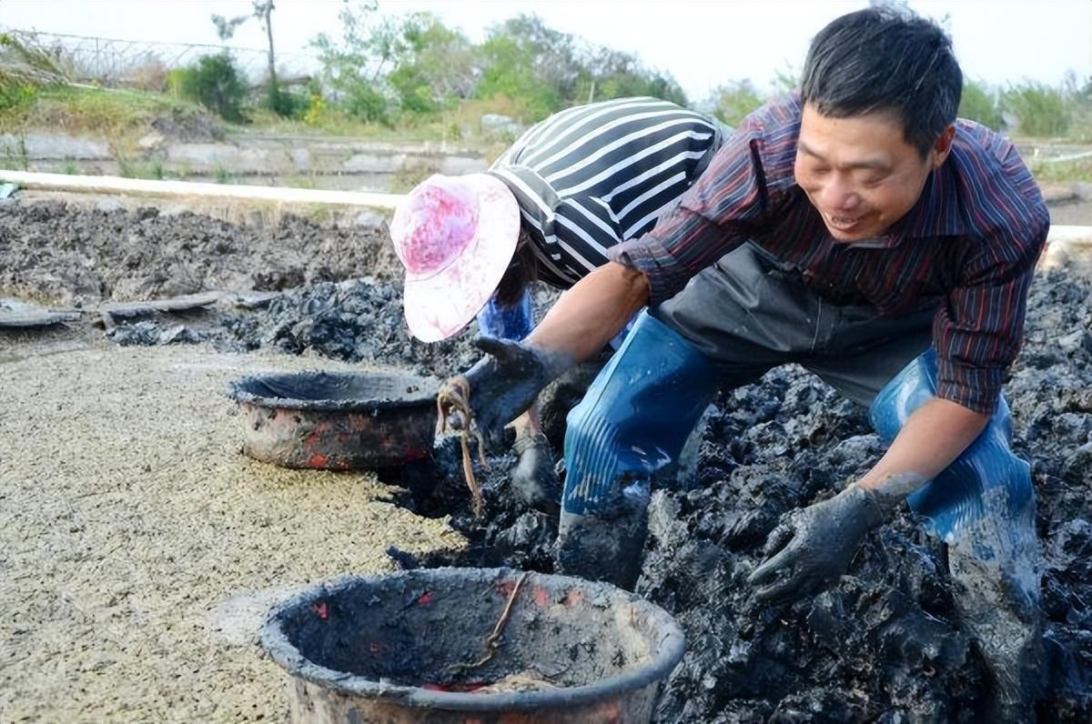 海水小龙虾养殖技术_海水龙虾养殖技术视频_海水龙虾养殖技术小结