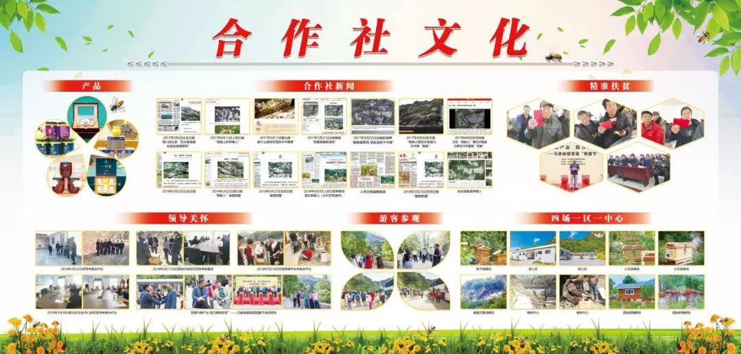 蜜蜂养殖技术指导_蜜蜂养殖技术招蜜蜂_蜜蜂养殖招技术人员吗