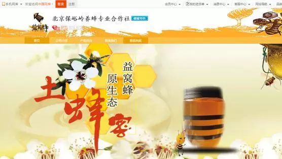 蜜蜂养殖技术指导_蜜蜂养殖招技术人员吗_蜜蜂养殖技术招蜜蜂