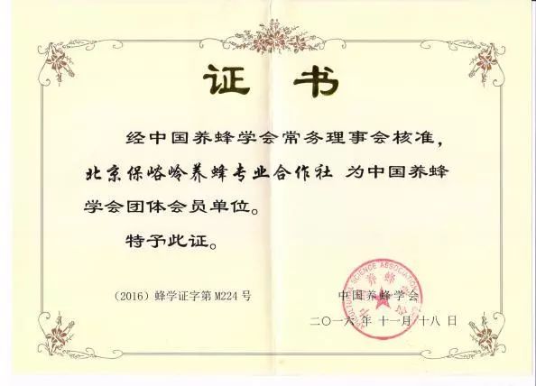 蜜蜂养殖技术指导_蜜蜂养殖招技术人员吗_蜜蜂养殖技术招蜜蜂