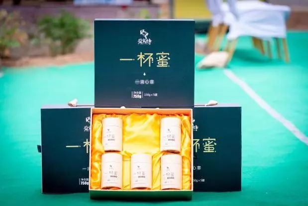 蜜蜂养殖技术招蜜蜂_蜜蜂养殖技术指导_蜜蜂养殖招技术人员吗