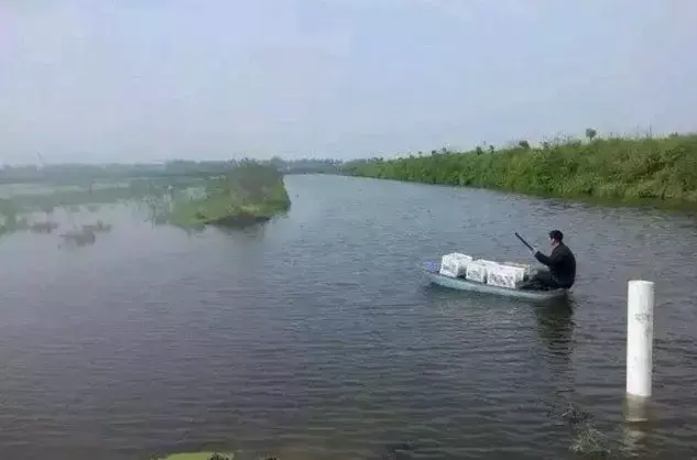 海水小龙虾养殖技术_海水龙虾养殖技术视频_海水龙虾怎么养殖