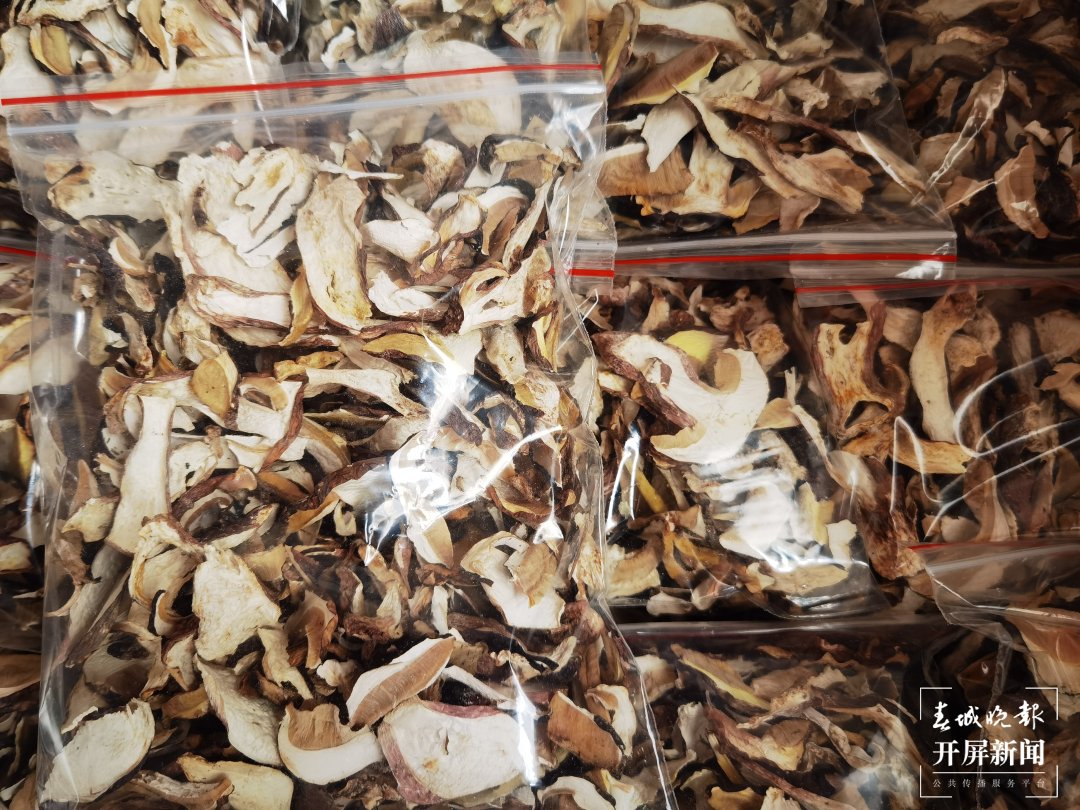 菌子之乡有“致富经”！野生山珍搭上加工“快车”香飘全国