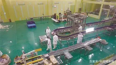致富经雷鸣都_致富经竹虫_致富经雷竹