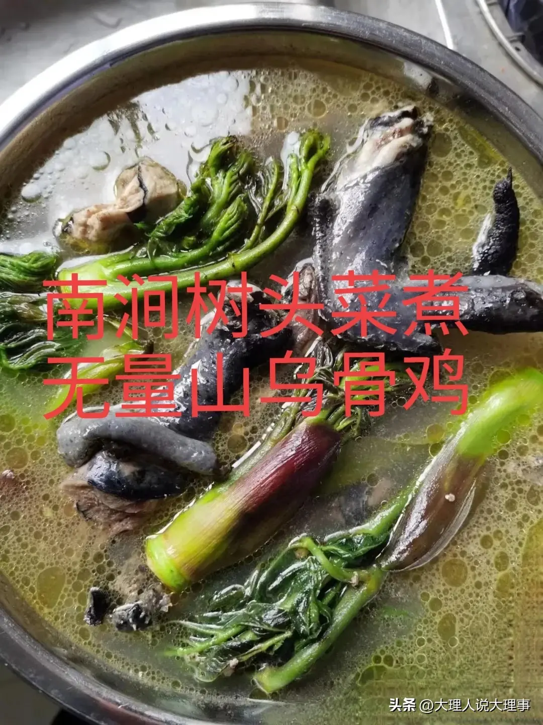 致富经乌骨鸡养殖视频_致富经乌骨鸡_乌骨鸡产品