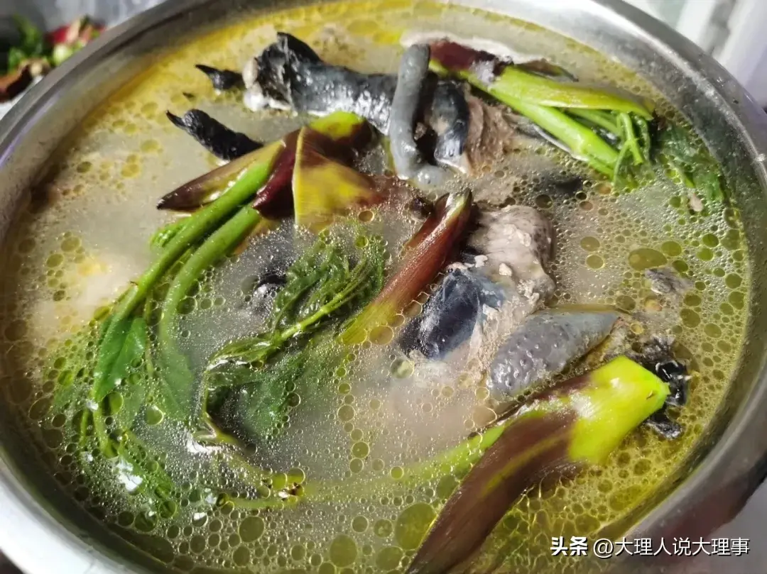 乌骨鸡产品_致富经乌骨鸡养殖视频_致富经乌骨鸡
