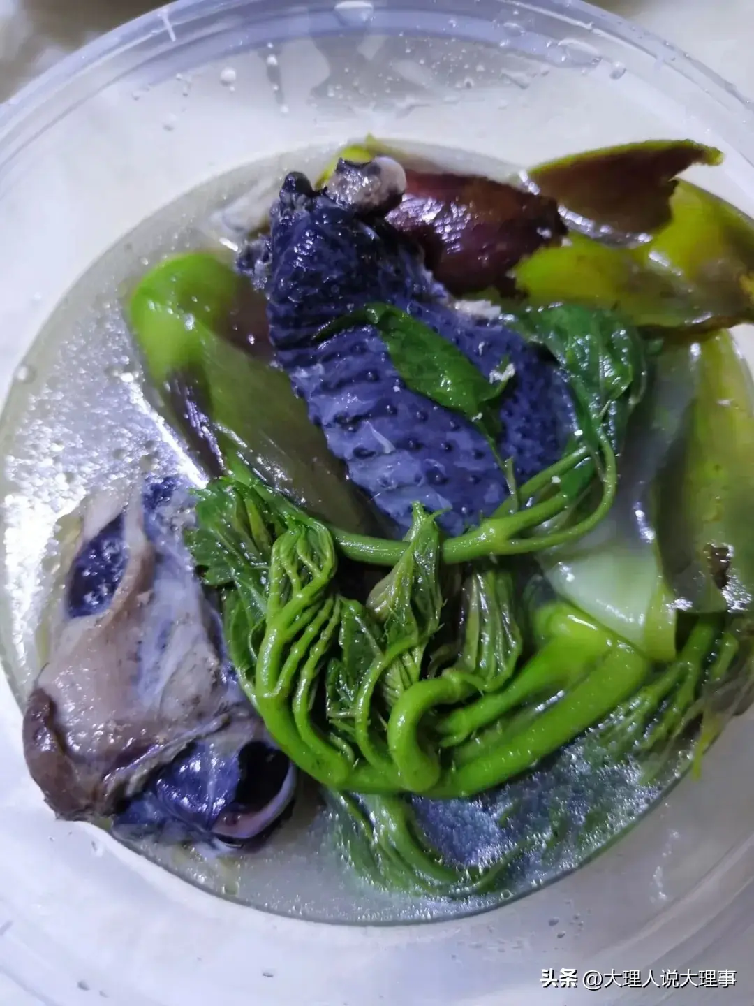 致富经乌骨鸡养殖视频_致富经乌骨鸡_乌骨鸡产品